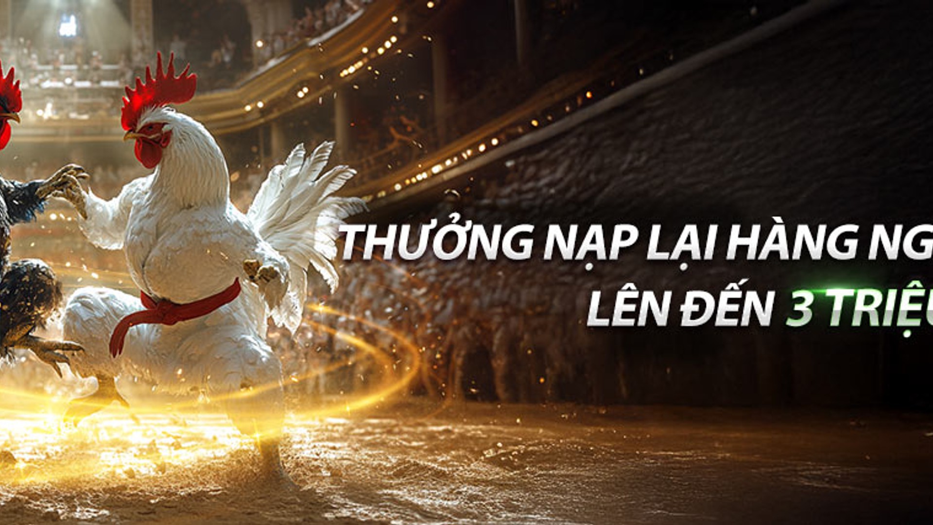 Sân vận động thể thao với các biểu tượng cá cược kỹ thuật số của nohu52bet