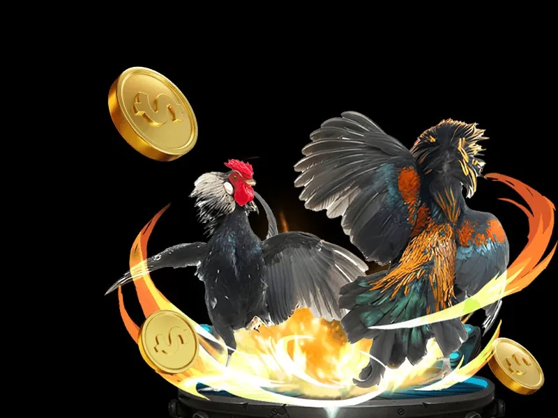 Các bước tham gia VIP Nohu52bet